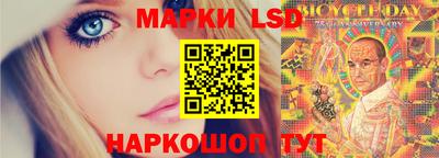 шишки Кандалакша