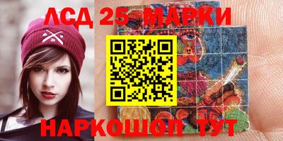 шишки Кандалакша