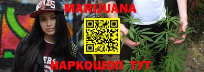 шишки Кандалакша