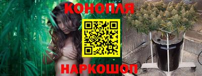 шишки Кандалакша