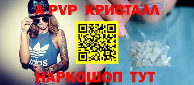 шишки Кандалакша