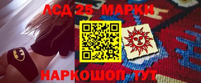 шишки Кандалакша