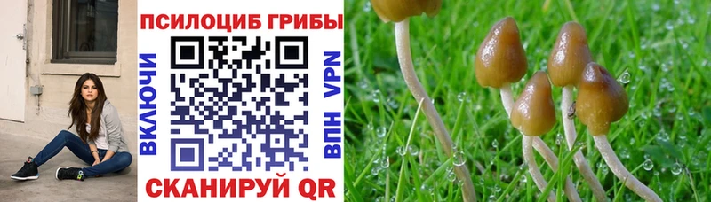 Галлюциногенные грибы ЛСД  Луга 