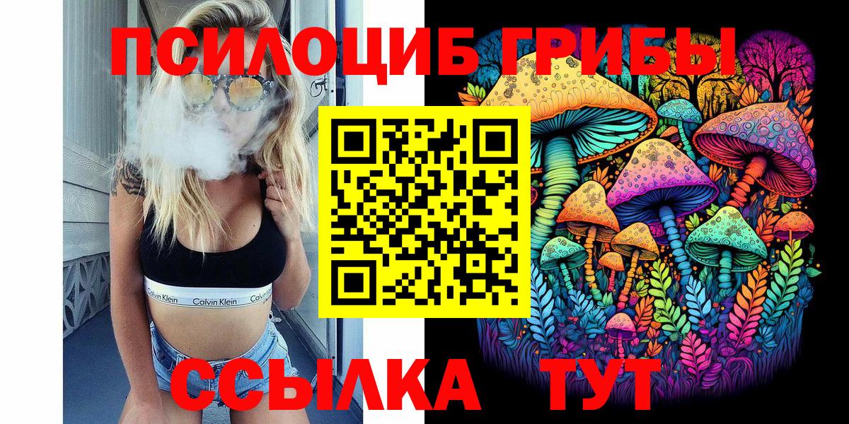 Псилоцибиновые грибы Cubensis Луга